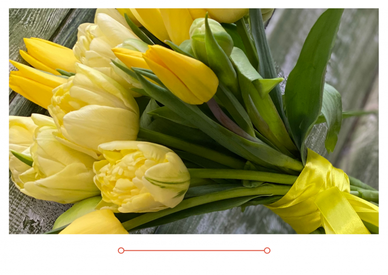 Новый выпуск "Дачные советы" от 4 марта 2021 года