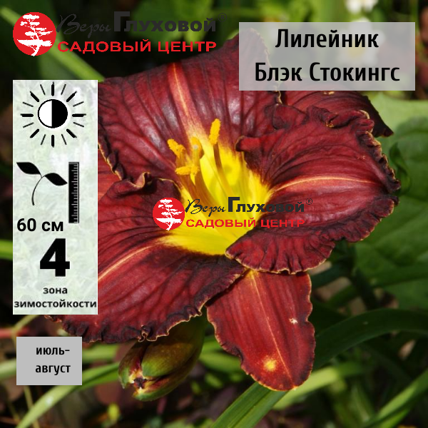 Основное изображение товара