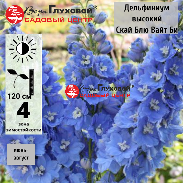 Основное изображение товара