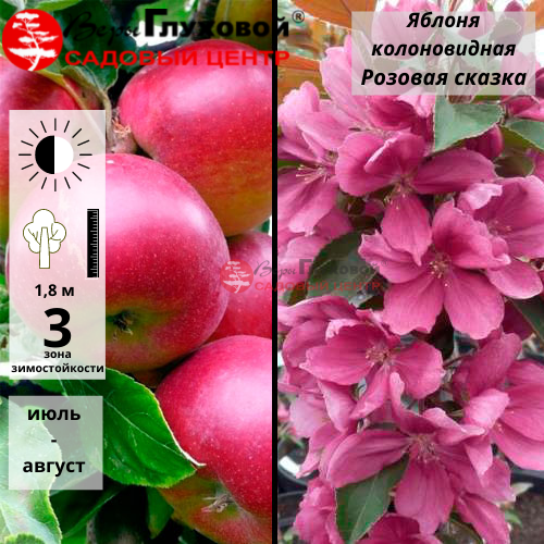 Основное изображение товара