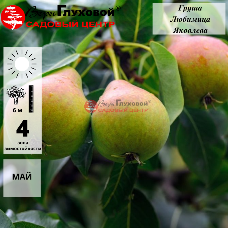 Рисунок 125.jpg