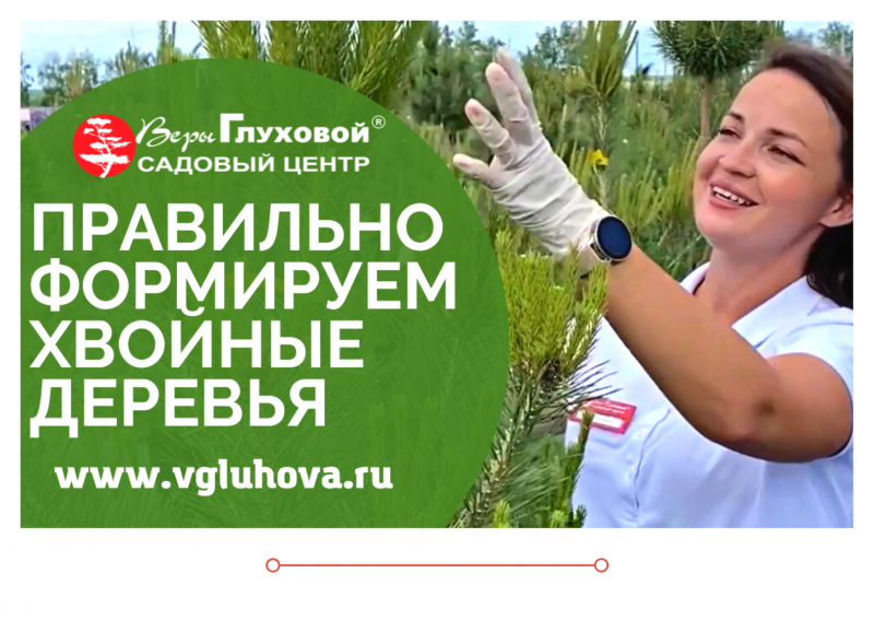 Дачные советы новый выпуск от 23.06.2022