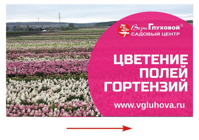 Так выглядят наши поля в 2022 году