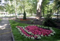 29 августа 2013 г. - Фестиваль цветов-2013», Струковский парк, г. Самара.