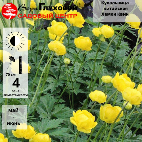 Основное изображение товара