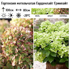 Основное изображение товара