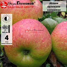 Основное изображение товара