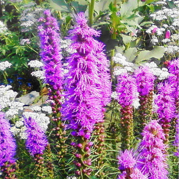 Основное изображение товара