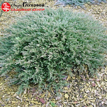 Основное изображение товара