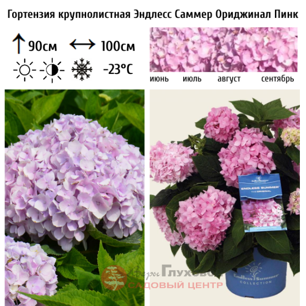 Основное изображение товара