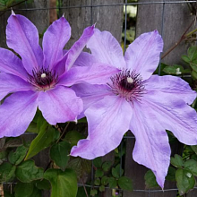 Основное изображение товара