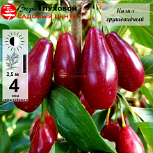 Рисунок 90.jpg