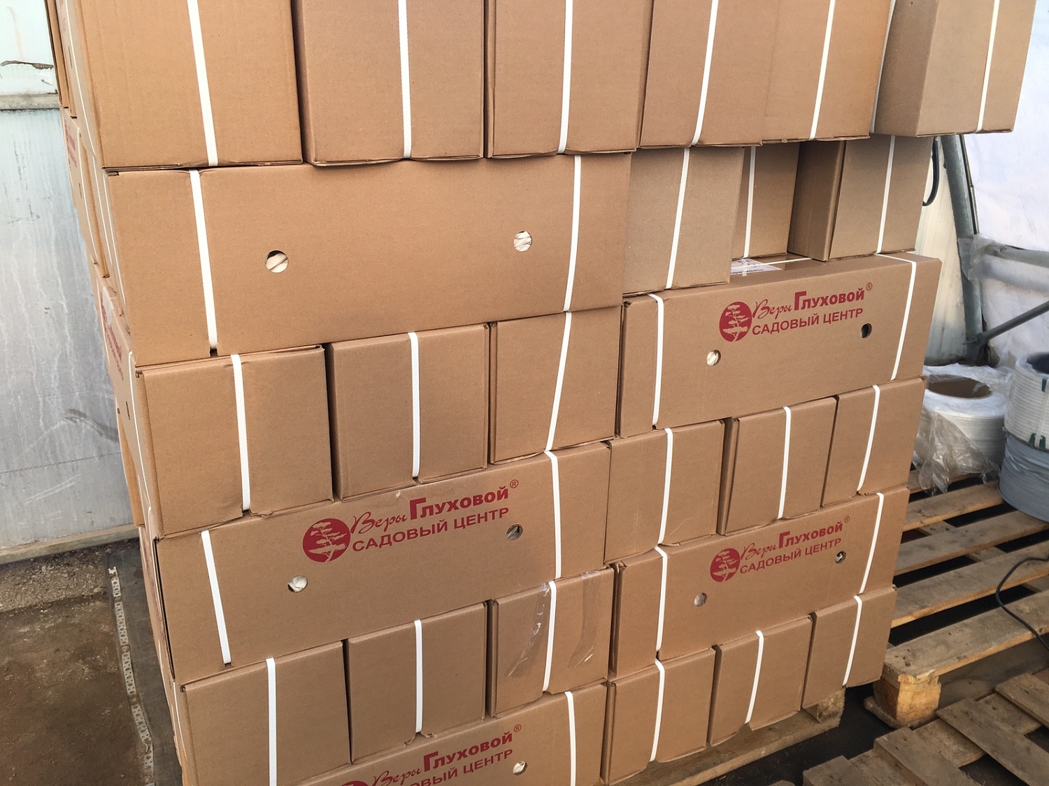 Началась отгрузка заказов