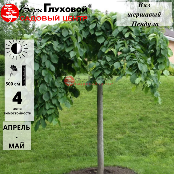 Основное изображение товара