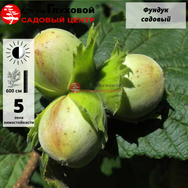 Основное изображение товара